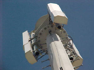MVC-001.JPG